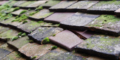 Caerau Park roof repair costs